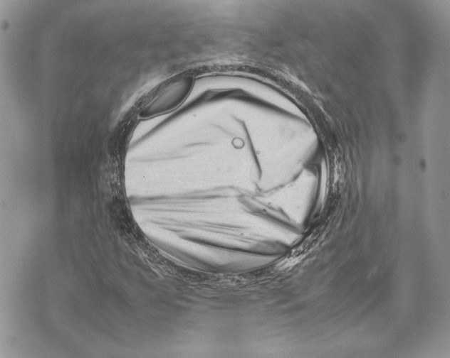 X0000070831255200607071733