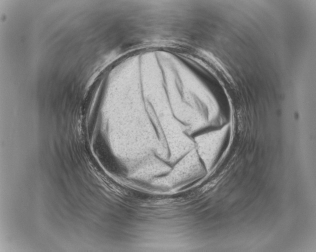 X0000070831260200607071733