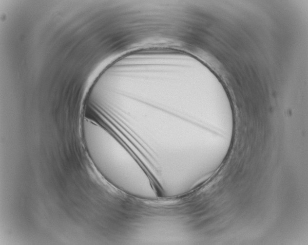 X0000070831296200607071732