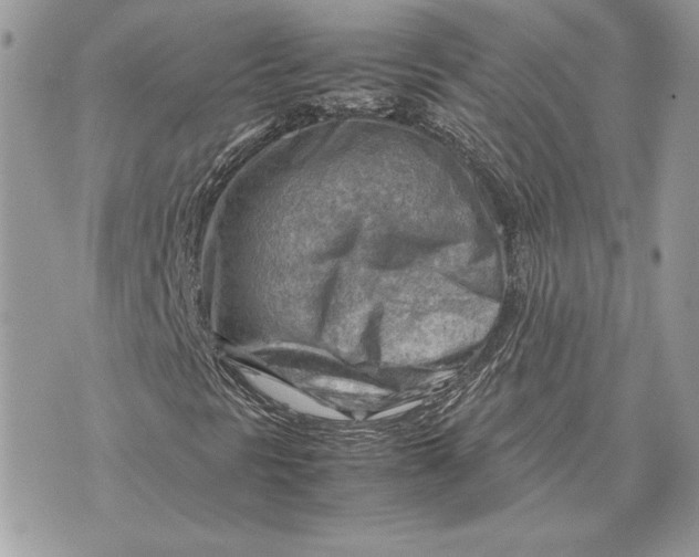 X0000070831297200607071731