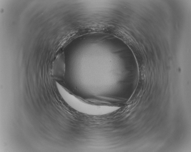 X0000070831298200607071731