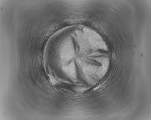 X0000070831300200607071731
