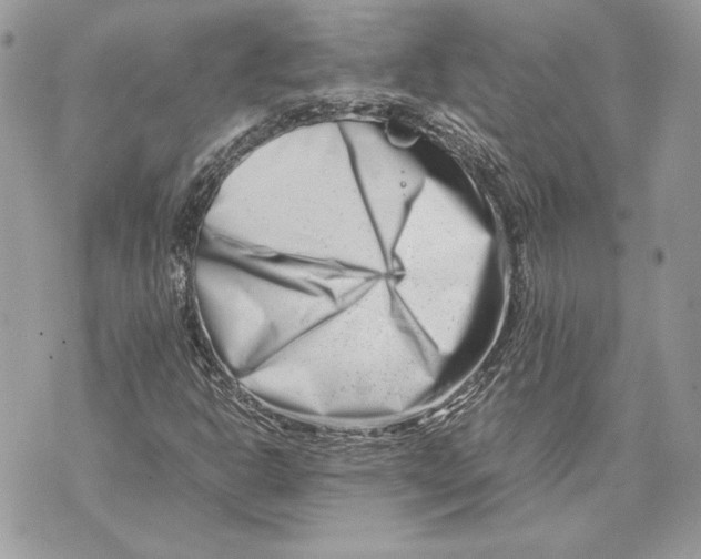 X0000070831302200607071731