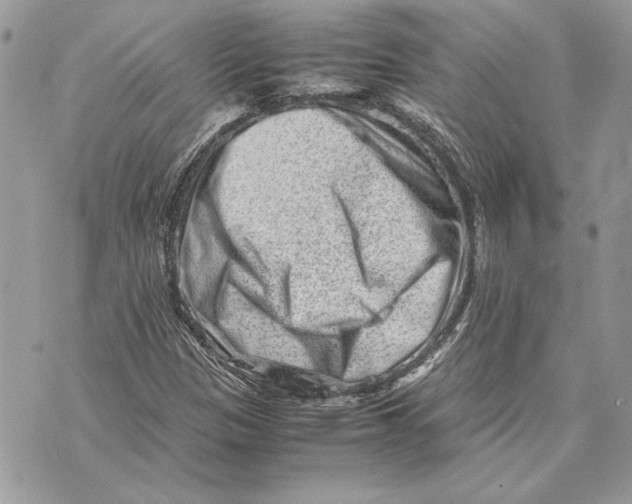 X0000070831305200607071731