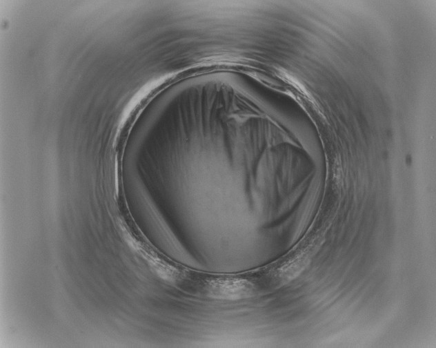 X0000070831323200607071732