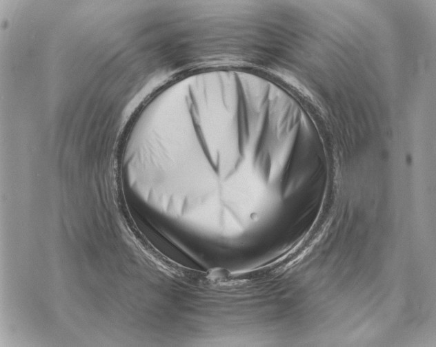 X0000070831325200607071732