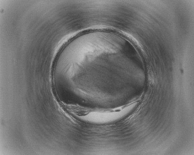 X0000070831327200607071732