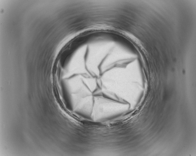X0000070831335200607071732