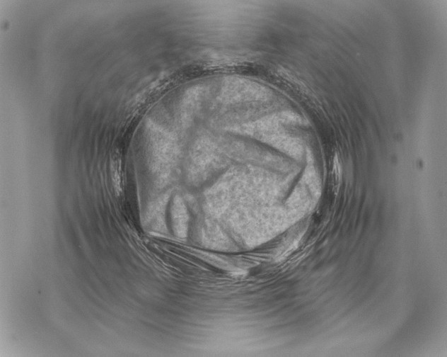 X0000070831348200607071731