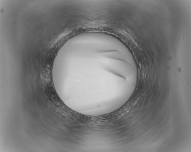 X0000070831350200607071731