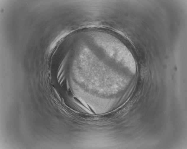 X0000070831359200607071731