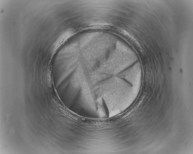 X0000070831362200607071731