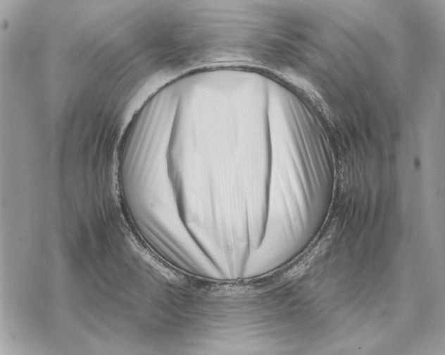 X0000070831374200607071731
