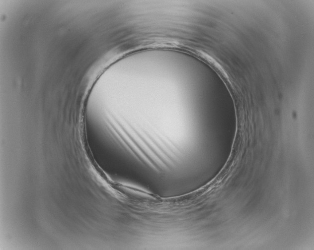 X0000070831379200607071731