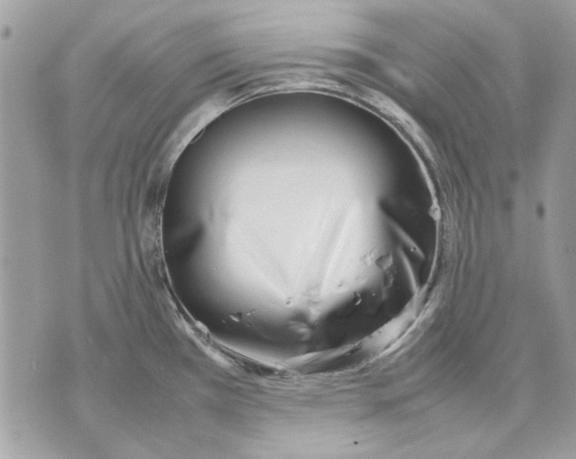 X0000070831385200607071731