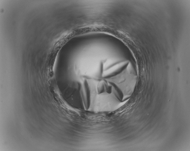 X0000070831398200607071730