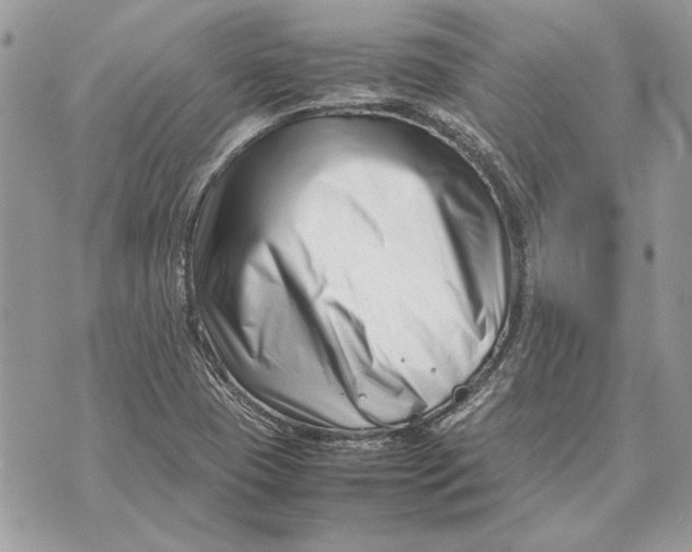 X0000070831409200607071730