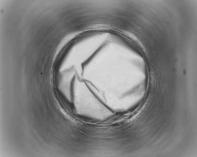 X0000070831421200607071730