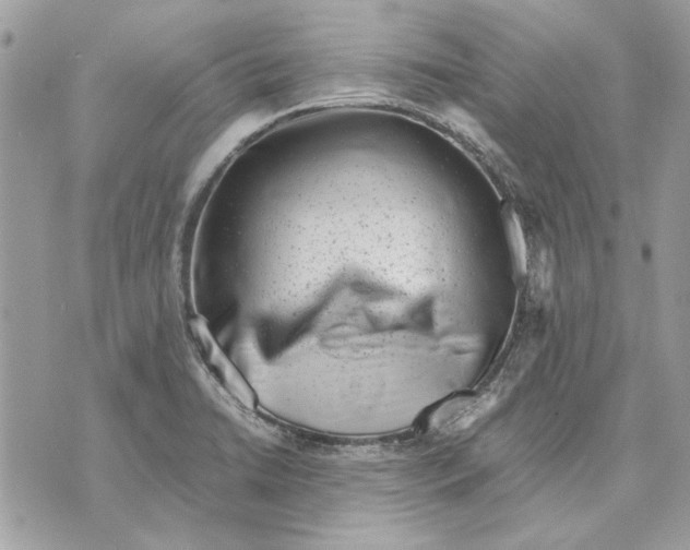 X0000070831422200607071730