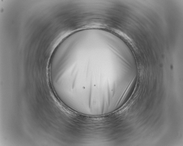 X0000070831423200607071730