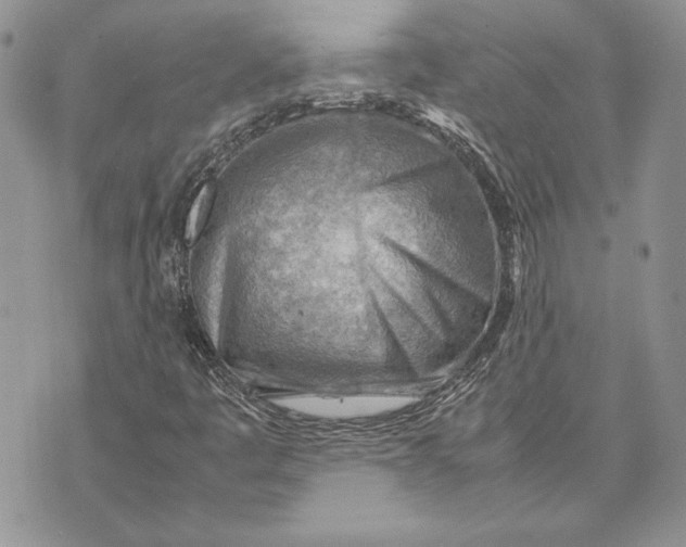 X0000070831445200607071730
