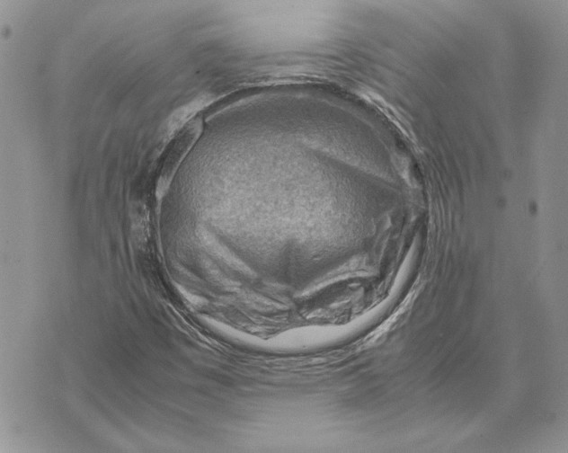 X0000070831449200607071730