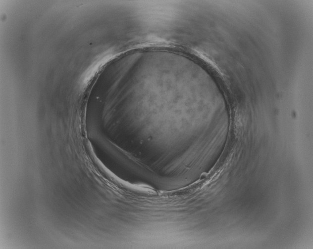 X0000070831455200607071729
