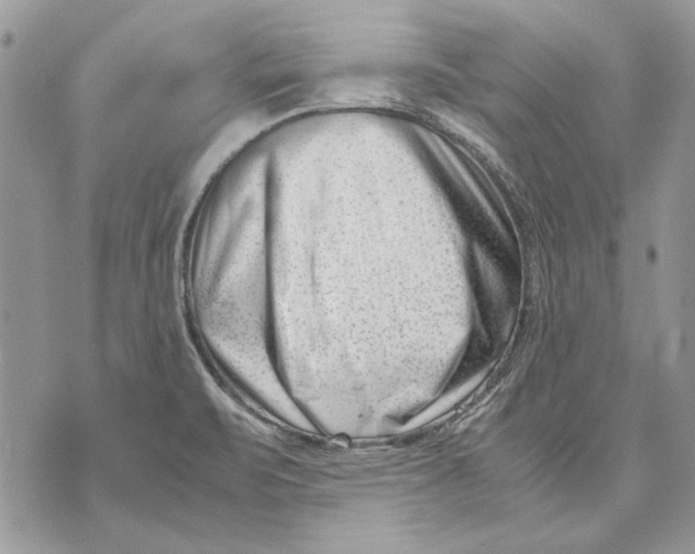 X0000070831471200607071729