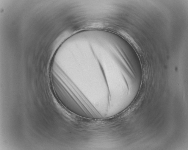 X0000070831475200607071729