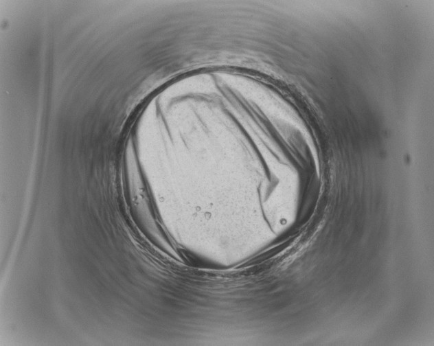 X0000070831505200607071728