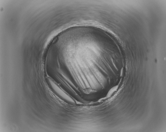 X0000070831506200607071728
