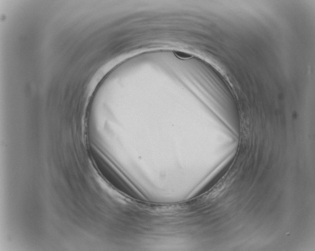 X0000070831535200607071729