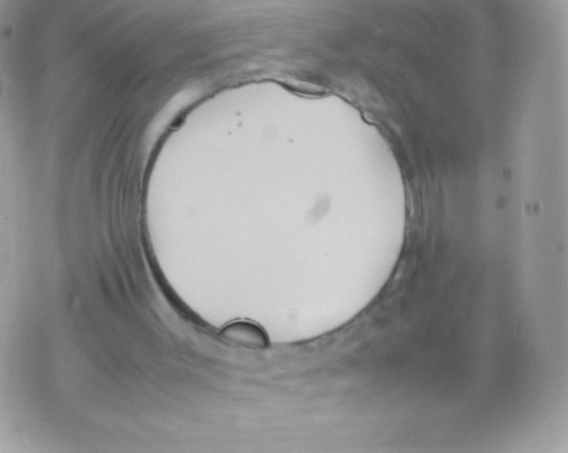 X0000070830003200607142352