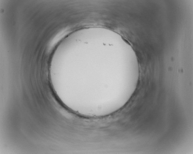 X0000070830005200607142352