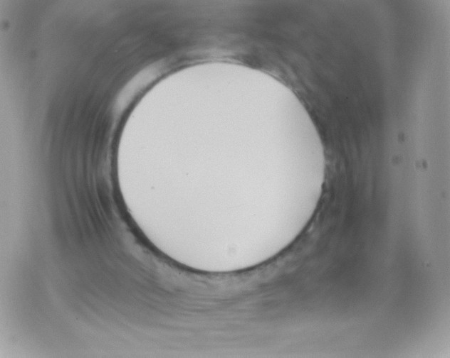 X0000070830006200607142352