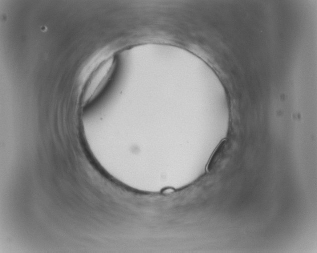 X0000070830007200607142352