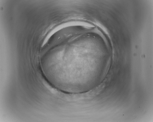 X0000070830009200607142352