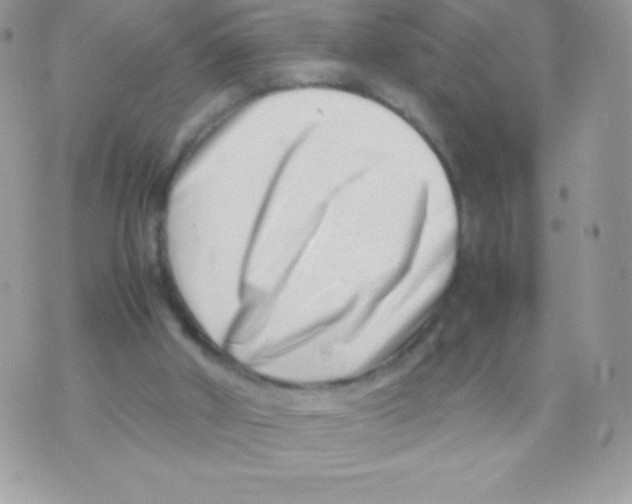 X0000070830010200607142352