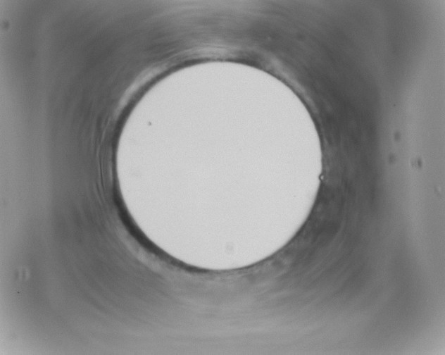 X0000070830011200607142352