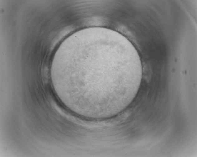 X0000070830012200607142352