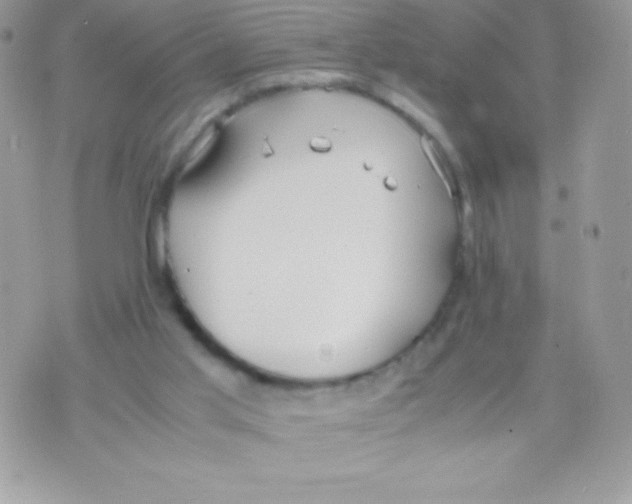 X0000070830013200607142352