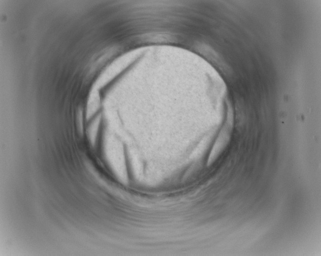 X0000070830014200607142352