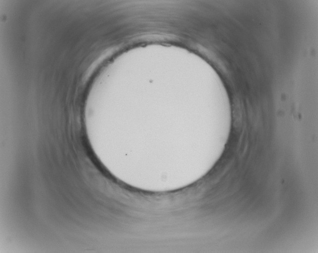 X0000070830015200607142352