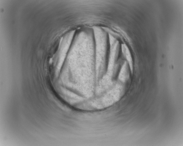 X0000070830017200607142352