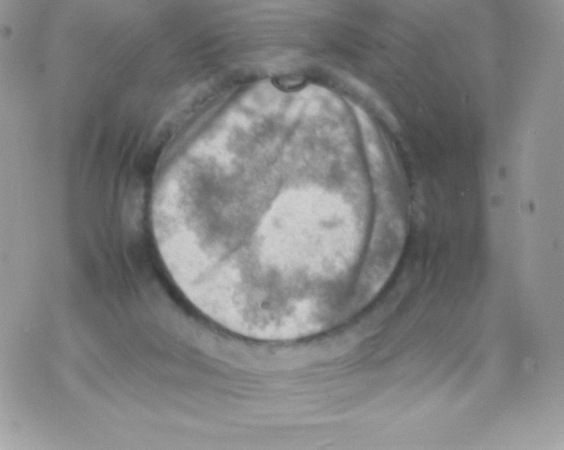 X0000070830018200607142352