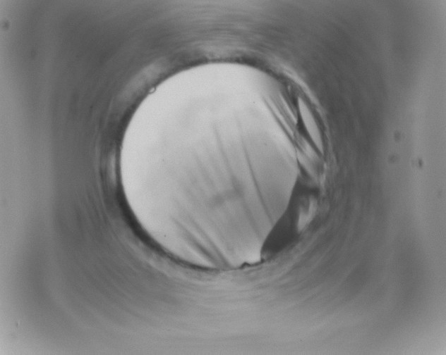 X0000070830019200607142352