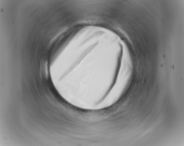 X0000070830020200607142352