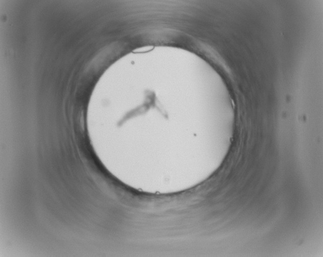 X0000070830021200607142352