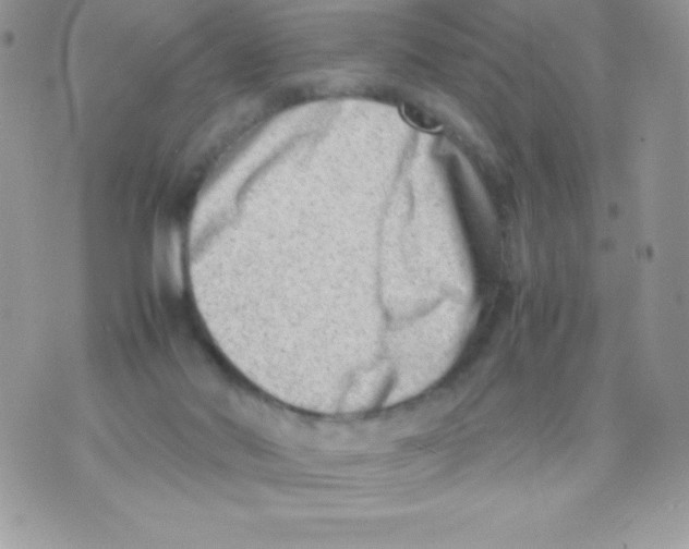 X0000070830022200607142352