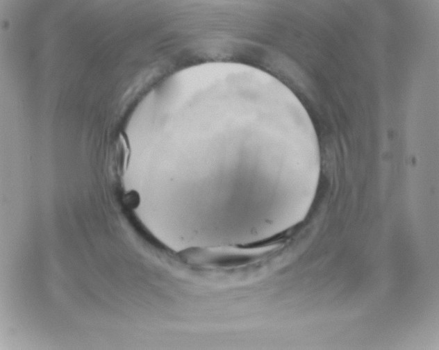 X0000070830023200607142352